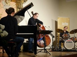 Dieter Ilg Trio